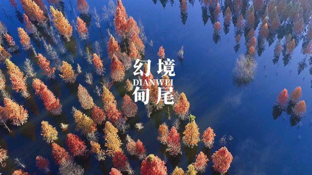 这两个头像出处有人知道吗，是情头吗，有另外一半么？