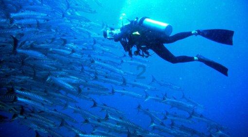 小摩：维持恒隆地产“中性”评级 目标价下调至9.5港元