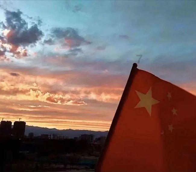 救援呆萌的猫