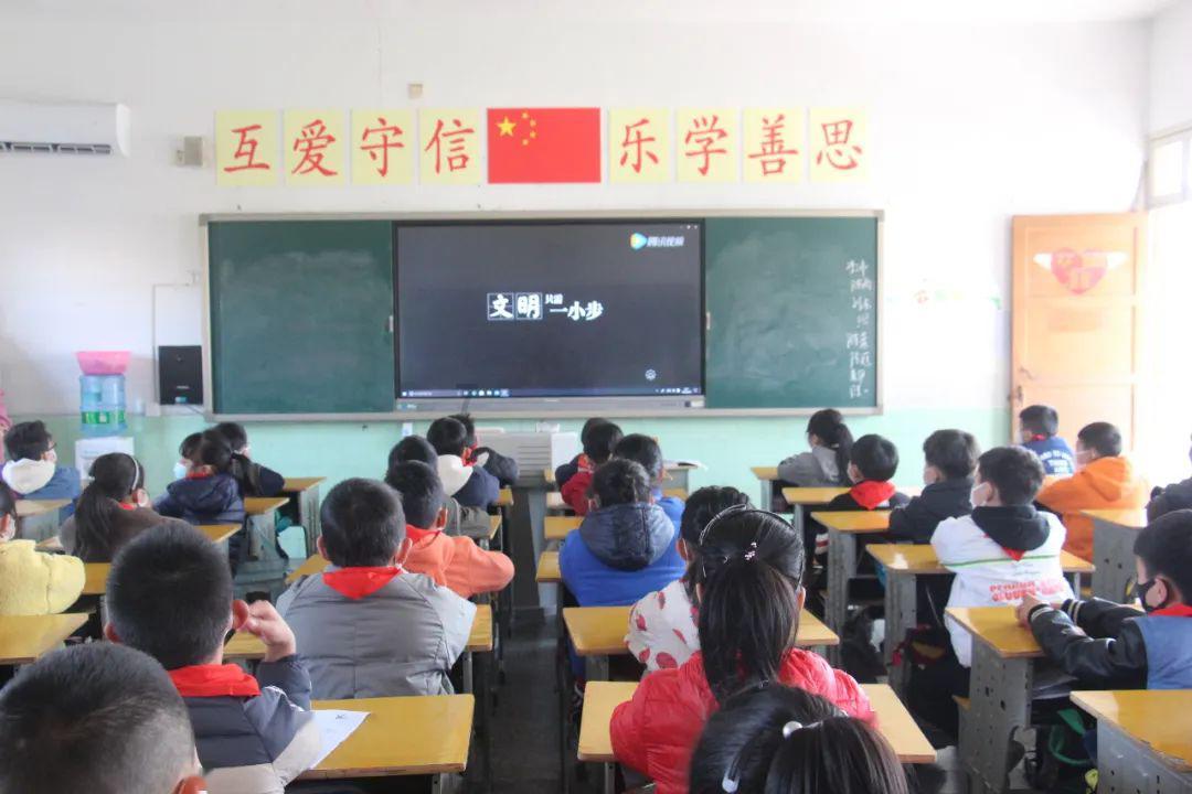 救援小袋熊