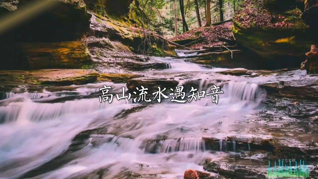 午时的猎人无敌版