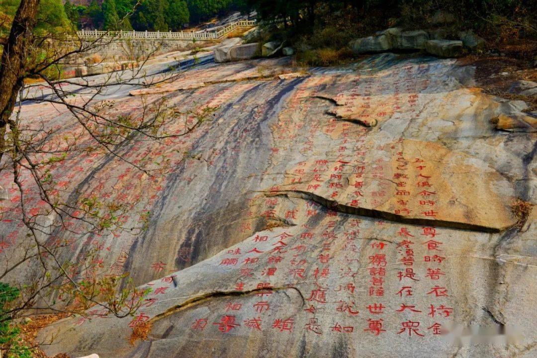 燃烧的蔬菜4新鲜战队