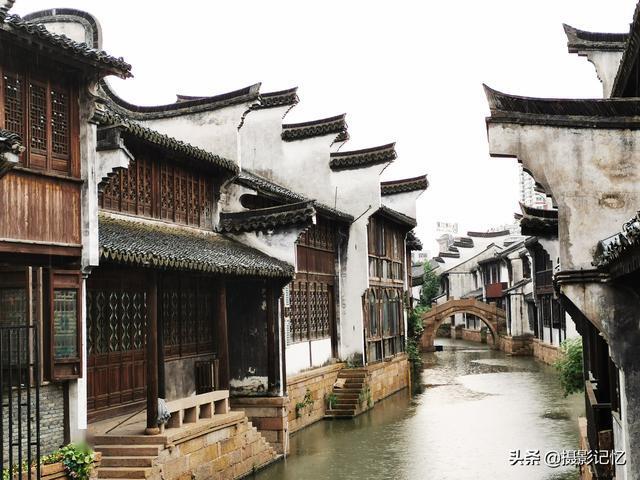 可爱啄木鸟逃脱