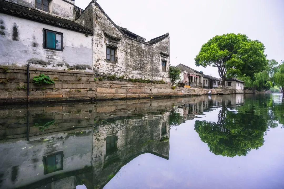 小猫钓鱼游戏龙王版有船