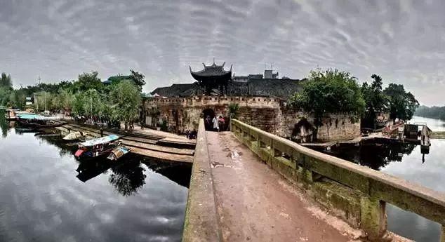 春雨直播app