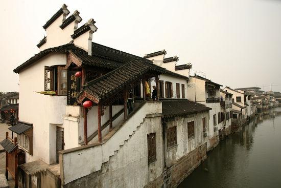 宠物世界聚会
