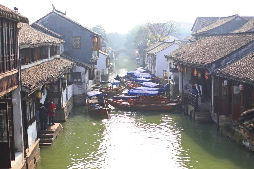可爱的小孔雀救援