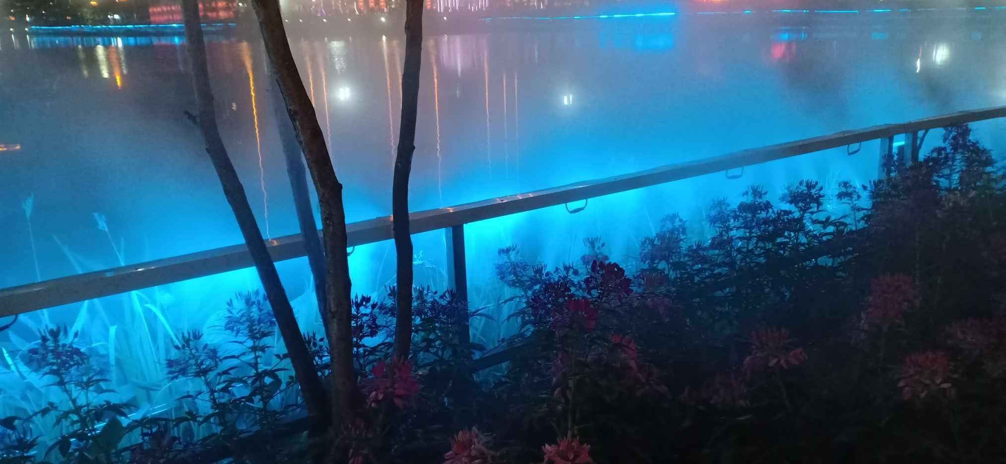 妙鸭相机app下载官网